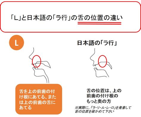 英語発音「L」「R」の違い .